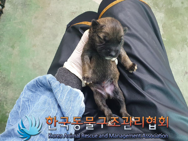 종료(자연사) 믹스…